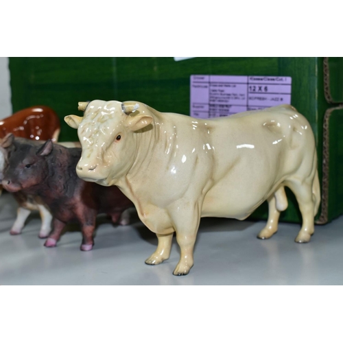 781 - A BESWICK CHAROLAIS BULL, No. 2463A, gloss (both horns broken) and a Hereford calf No. 854 (brown an... 