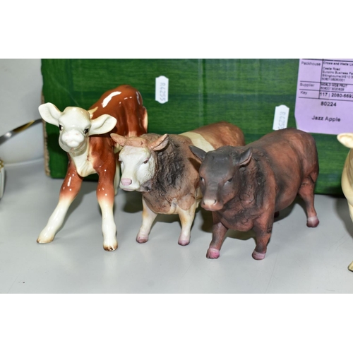 781 - A BESWICK CHAROLAIS BULL, No. 2463A, gloss (both horns broken) and a Hereford calf No. 854 (brown an... 