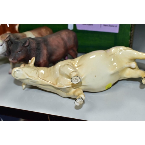 781 - A BESWICK CHAROLAIS BULL, No. 2463A, gloss (both horns broken) and a Hereford calf No. 854 (brown an... 