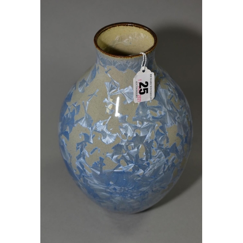 25 - A SIMON RICH (BORN 1949) STUDIO POTTERY CRYSTALLINE GLAZED OVOID VASE, brown glazed rim, impressed s... 