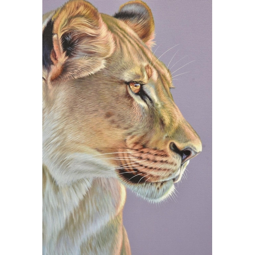 402 - DARRYN EGGLETON (SOUTH AFRICA 1981) 'QUEEN OF THE SAVANNAH' a portrait of a lioness, signed limited ... 