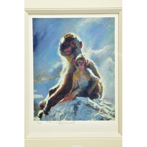 404 - ROLF HARRIS (AUSTRALIAN 1930) 'BACKLIT BABOONS - GIBRALTAR' signed artist proof print 20/20 with cer... 