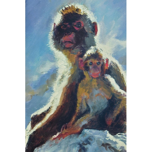 404 - ROLF HARRIS (AUSTRALIAN 1930) 'BACKLIT BABOONS - GIBRALTAR' signed artist proof print 20/20 with cer... 