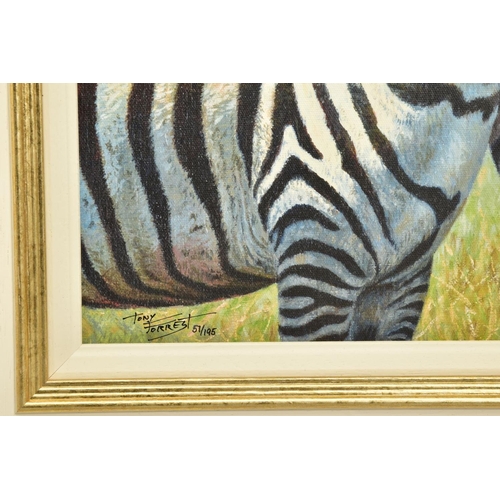 407 - TONY FORREST (BRITISH 1961) 'NEAREST & DEAREST' ZEBRAS IN AFRICA, signed limited edition print 51/19... 