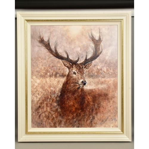 418 - GARY BENFIELD (BRITISH 1965) 'NOBLE' a portrait of a Stag, signed limited edition print 77/195, with... 