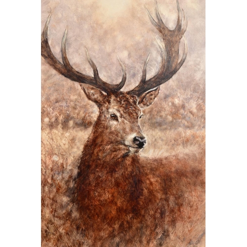 418 - GARY BENFIELD (BRITISH 1965) 'NOBLE' a portrait of a Stag, signed limited edition print 77/195, with... 