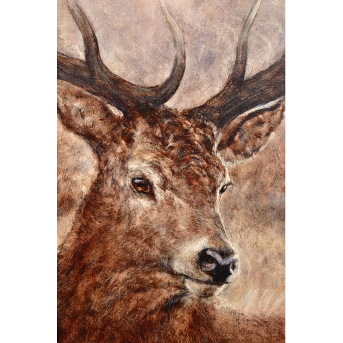 418 - GARY BENFIELD (BRITISH 1965) 'NOBLE' a portrait of a Stag, signed limited edition print 77/195, with... 