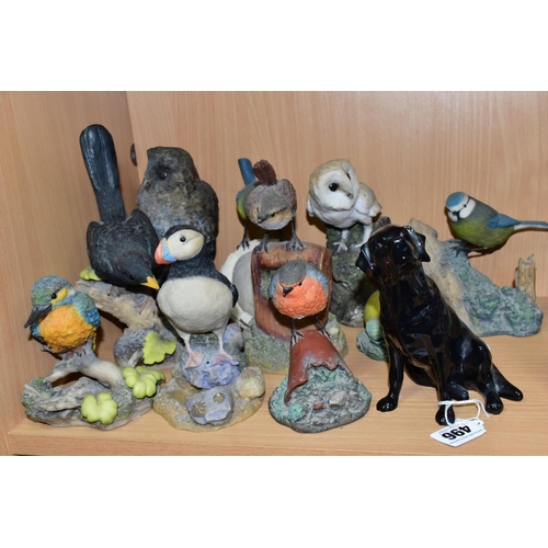 496 - A BESWICK LABRADOR AND TEN RESIN BIRD ORNAMENTS, seated black labrador height 14cm, has signed 'John... 