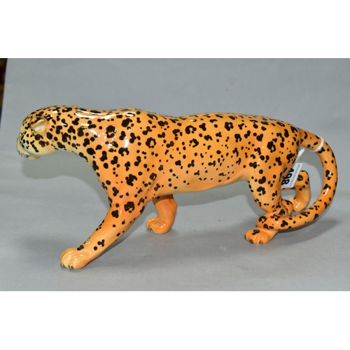 498 - A BESWICK LEOPARD, model 1082, approximate length 30cm, height 12cm (Condition Report:- good)