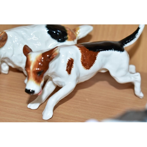 506 - TWELVE ROYAL DOULTON CHARACTER DOGS, comprising HN2586, HN2587 (extensive cracks), HN2554, HN2590, H... 