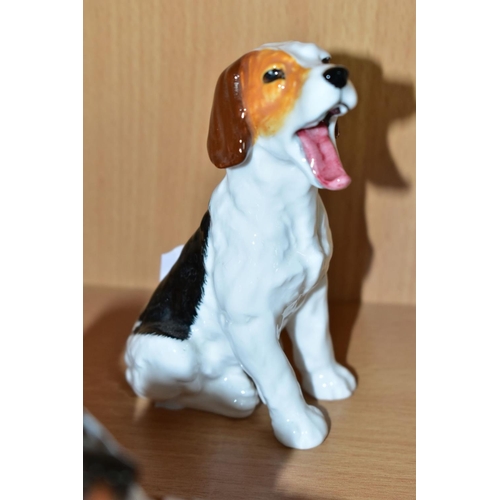 506 - TWELVE ROYAL DOULTON CHARACTER DOGS, comprising HN2586, HN2587 (extensive cracks), HN2554, HN2590, H... 