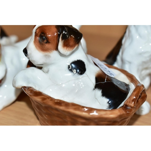 506 - TWELVE ROYAL DOULTON CHARACTER DOGS, comprising HN2586, HN2587 (extensive cracks), HN2554, HN2590, H... 