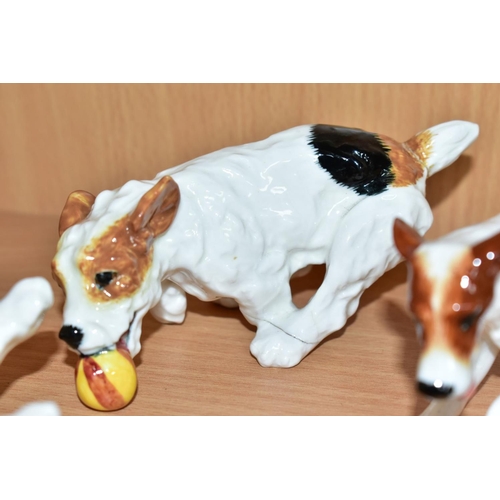 506 - TWELVE ROYAL DOULTON CHARACTER DOGS, comprising HN2586, HN2587 (extensive cracks), HN2554, HN2590, H... 