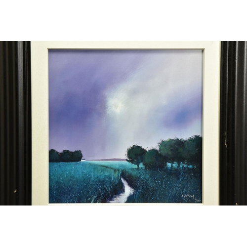 407 - BARRY HILTON (BRITISH 1941) 'EMERALD MEADOW' a signed artist proof print landscape, 13/20 with certi... 