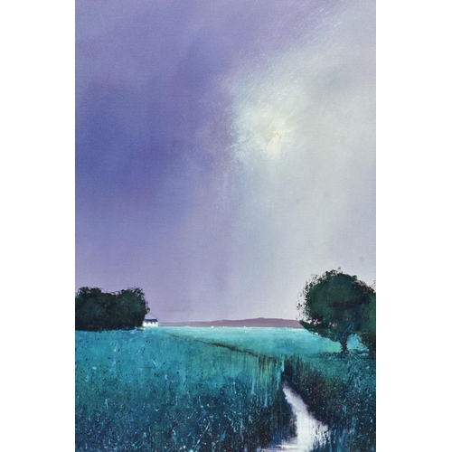 407 - BARRY HILTON (BRITISH 1941) 'EMERALD MEADOW' a signed artist proof print landscape, 13/20 with certi... 