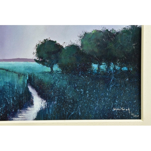 407 - BARRY HILTON (BRITISH 1941) 'EMERALD MEADOW' a signed artist proof print landscape, 13/20 with certi... 