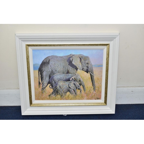 Lot 385       