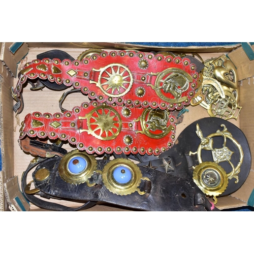 471 - A BOX OF HORSE BRASSES, some on leather straps, including an extra-large brass, with approximately s... 