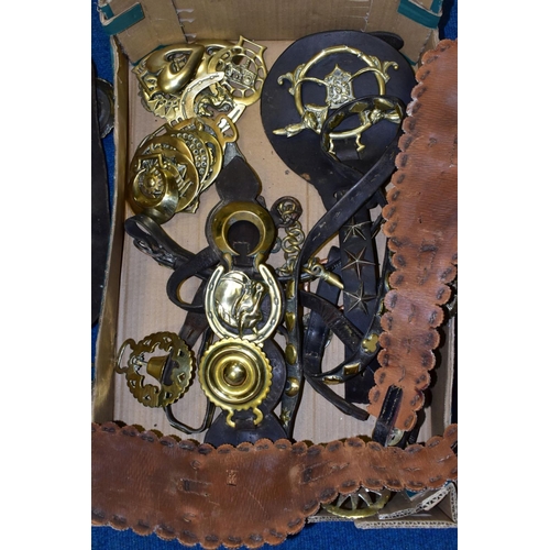 471 - A BOX OF HORSE BRASSES, some on leather straps, including an extra-large brass, with approximately s... 