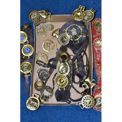 471 - A BOX OF HORSE BRASSES, some on leather straps, including an extra-large brass, with approximately s... 