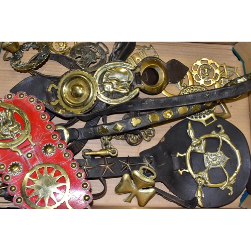 471 - A BOX OF HORSE BRASSES, some on leather straps, including an extra-large brass, with approximately s... 