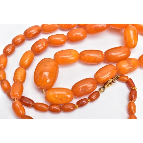 188 - A NATURAL AMBER BEAD NECKLACE, graduated oval beads, largest measuring approximately 20.7mm x 15.3mm... 