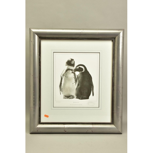 409 - GARY HODGES (BRITISH 1954) 'JUST THE TWO OF US', a signed limited edition print of two Jackass Pengu... 