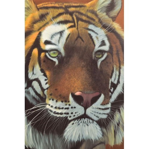 417 - JONATHAN TRUSS (BRITISH 1960) 'WATCHING YOU', a signed artist proof print of a Tiger, 1/20 with cert... 