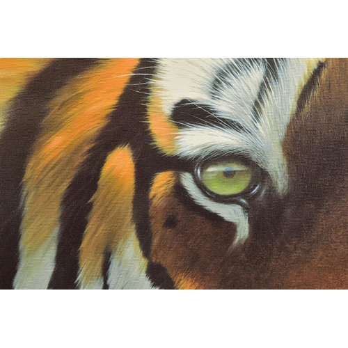 417 - JONATHAN TRUSS (BRITISH 1960) 'WATCHING YOU', a signed artist proof print of a Tiger, 1/20 with cert... 