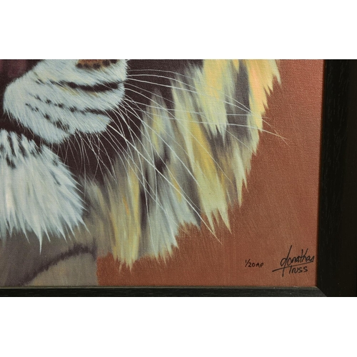 417 - JONATHAN TRUSS (BRITISH 1960) 'WATCHING YOU', a signed artist proof print of a Tiger, 1/20 with cert... 