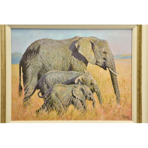 424 - TONY FORREST (BRITISH 1961) 'FAMILY OUTING' a limited edition print of African Elephants 19/195, sig... 