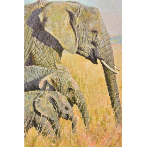 424 - TONY FORREST (BRITISH 1961) 'FAMILY OUTING' a limited edition print of African Elephants 19/195, sig... 