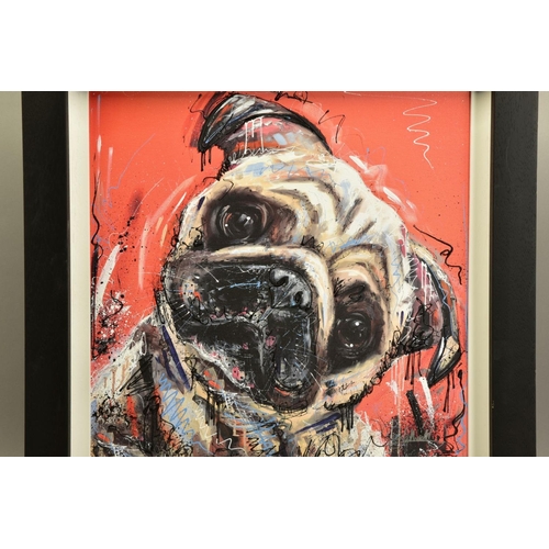 425 - SAMANTHA ELLIS (BRITISH 1992) 'HERE'S LOOKING AT YOU KID', a limited edition print of a pug dog 87/2... 