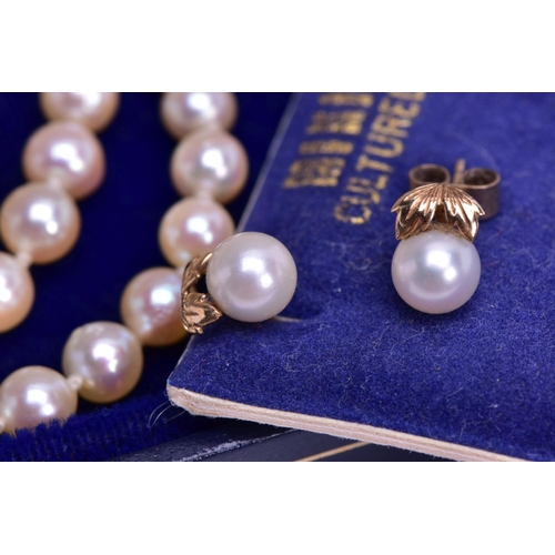 8 - A CULTURED PEARL NECKLACE AND EARRINGS, seventy one cultured pearls in a single strand, white with a... 