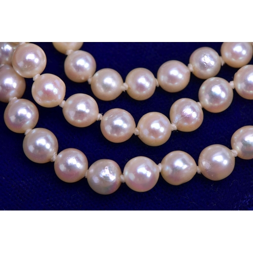 8 - A CULTURED PEARL NECKLACE AND EARRINGS, seventy one cultured pearls in a single strand, white with a... 