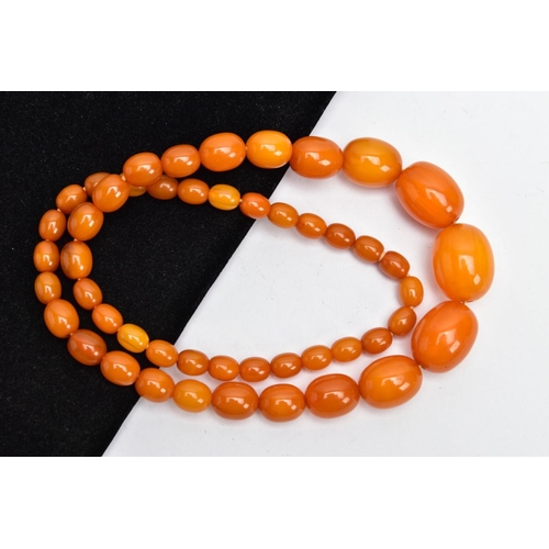 164 - A GRADUATED AMBER COLOUR BAKELITE BEAD NECKLACE, oval graduated beads, largest measuring approximate... 