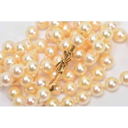 47 - A CULTURED PEARL NECKLACE WITH A YELLOW METAL CLASP, a single row of cream pearls with a pink hue, e... 