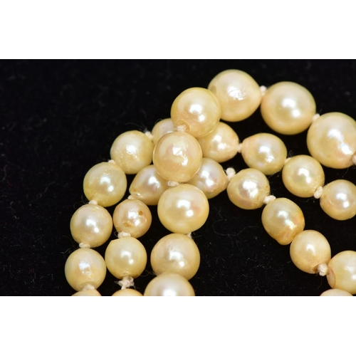 58 - A CULTURED PEARL NECKLACE, a single row of graduated cultured pearls, cream with a pink hue, largest... 