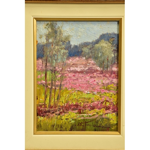 402 - BRUNO TINUCCI (ITALY 1947) 'CAMPI ROSA / PINK FIELDS II', an impressionist landscape of wild flowers... 