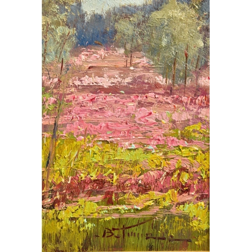 402 - BRUNO TINUCCI (ITALY 1947) 'CAMPI ROSA / PINK FIELDS II', an impressionist landscape of wild flowers... 