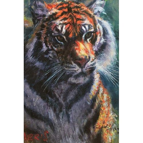 408 - ROLF HARRIS (AUSTRALIA 1931) ' TIGER IN THE SUN', a signed limited edition print on canvas, 157/195 ... 