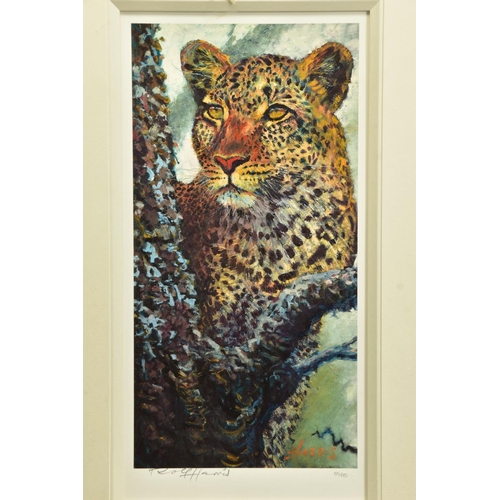 421 - ROLF HARRIS (AUSTRALIA 1930) 'ALERT FOR PREY' a limited edition print of a Leopard 55/195, signed to... 