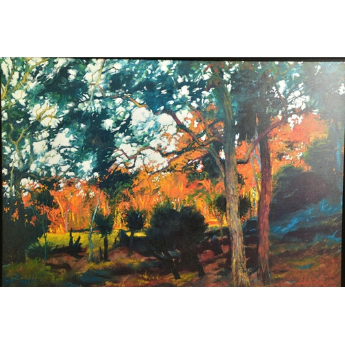 423 - ROLF HARRIS (AUSTRALIA 1930) 'BUSH SUNSET', a signed limited edition print of a landscape, 12/195 wi... 