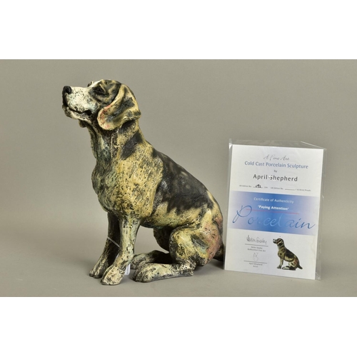 430 - APRIL SHEPHERD (BRITISH CONTEMPORARY) 'PAYING ATTENTION', a limited edition sculpture of a dog 92/29... 