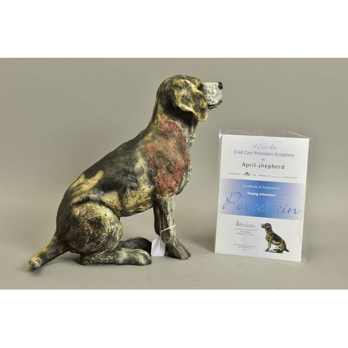 430 - APRIL SHEPHERD (BRITISH CONTEMPORARY) 'PAYING ATTENTION', a limited edition sculpture of a dog 92/29... 