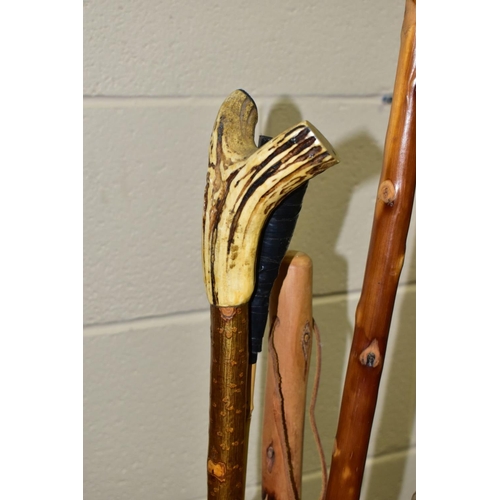 807 - A GROUP OF WALKING STICKS, CANES AND RIDING CROPS IN AN ORIENTAL BRUSH POT, seventeen pieces to incl... 