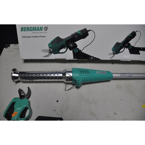 1289 - A BERGMAN CORDLESS BRANCH CUTTER/PRUNER with extension pole but no charger model No ZOE-7.2LD-15M/A ... 