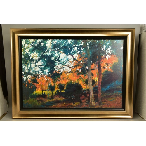 417 - ROLF HARRIS (AUSTRALIA 1930) 'BUSH SUNSET', a signed limited edition print of a landscape, 12/195 wi... 