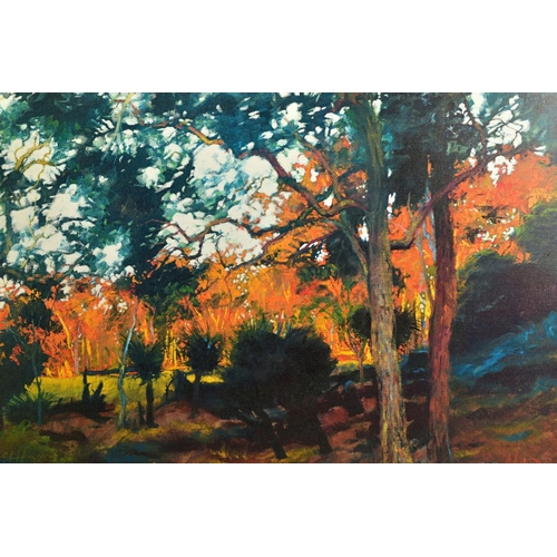 417 - ROLF HARRIS (AUSTRALIA 1930) 'BUSH SUNSET', a signed limited edition print of a landscape, 12/195 wi... 
