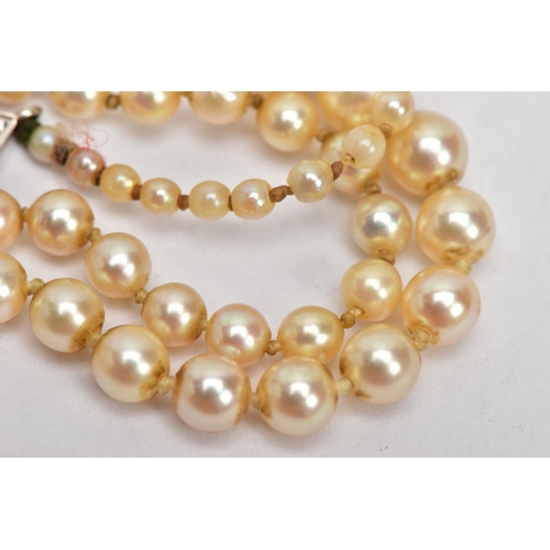 129 - A SINGLE ROW OF CULTURED PEARLS, graduating row of cream pearls with a pink hue, smallest measuring ... 